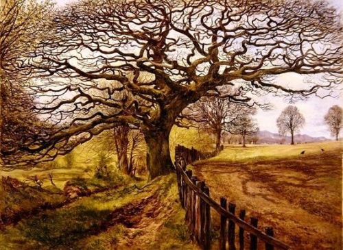 The Tree, 1861 John Milne Donald