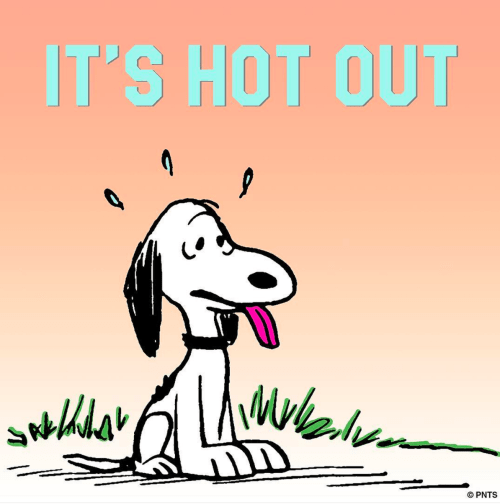 Screen Shot 2016-07-12 at 10.40.32 AM