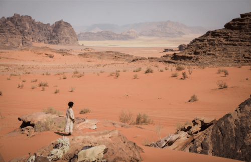 theeb-still
