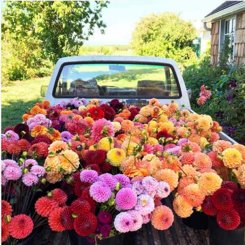 Screen Shot 2016-08-31 at 10.58.39 AM