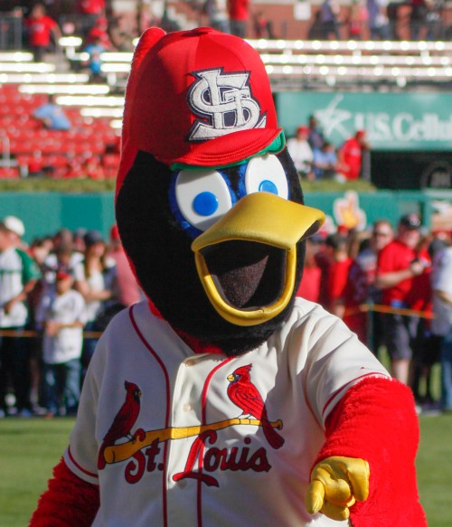 fredbird2013cardinals
