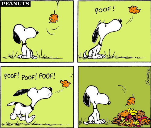 screen-shot-2016-09-24-at-9-58-56-pm