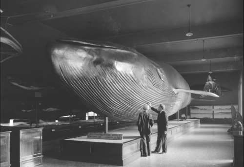 6a01156e4c2c3d970c01b8d0d4c2a7970c