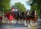 clydesdales1-1024×733