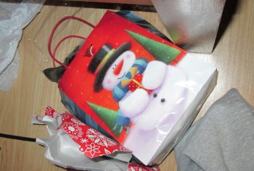 Can you spot the kitty?