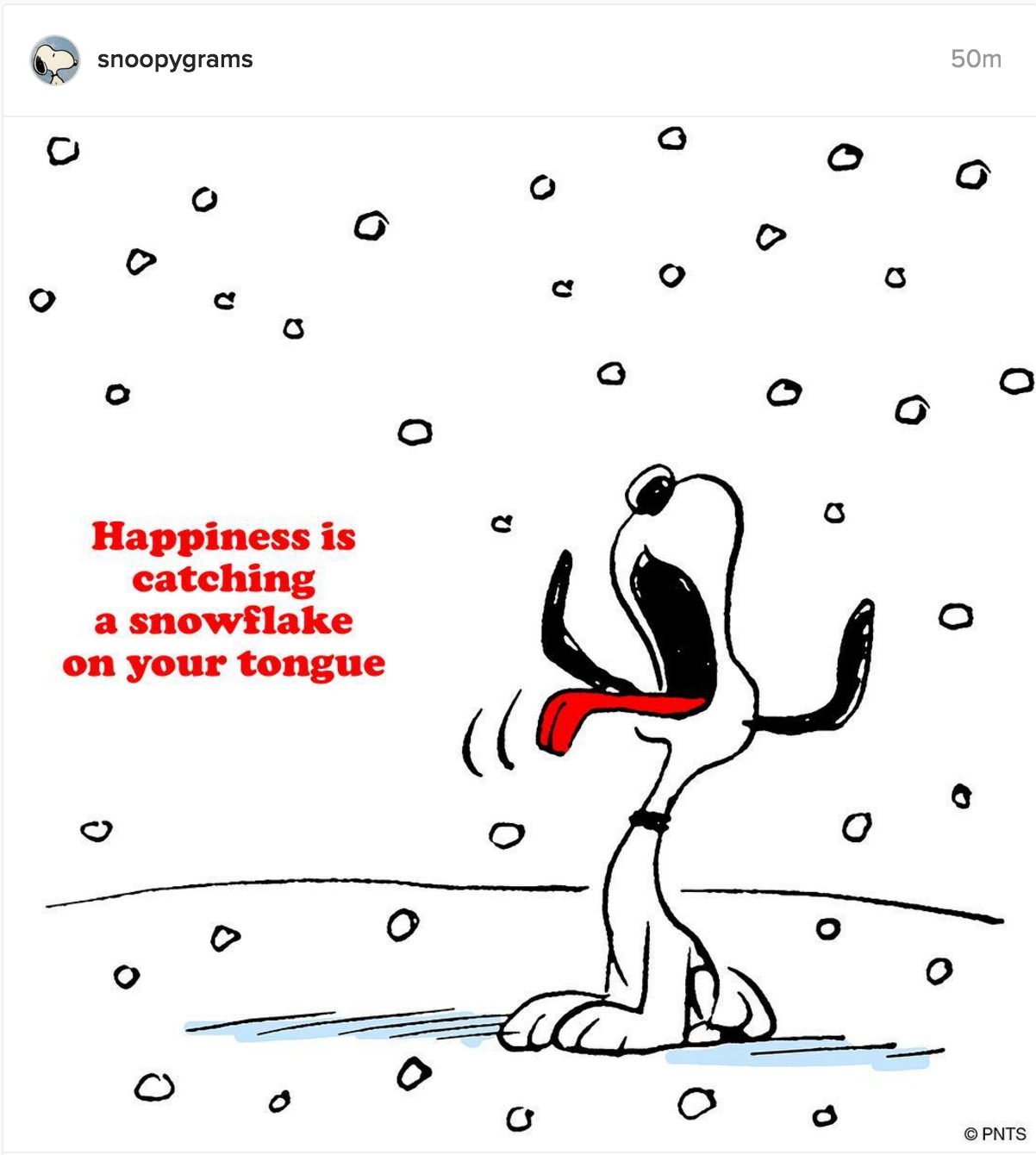 Screen Shot 2017-01-05 at 9.40.08 AM.png