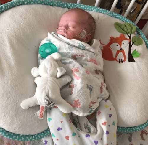 Screen Shot 2017-03-05 at 1.02.24 PM.png