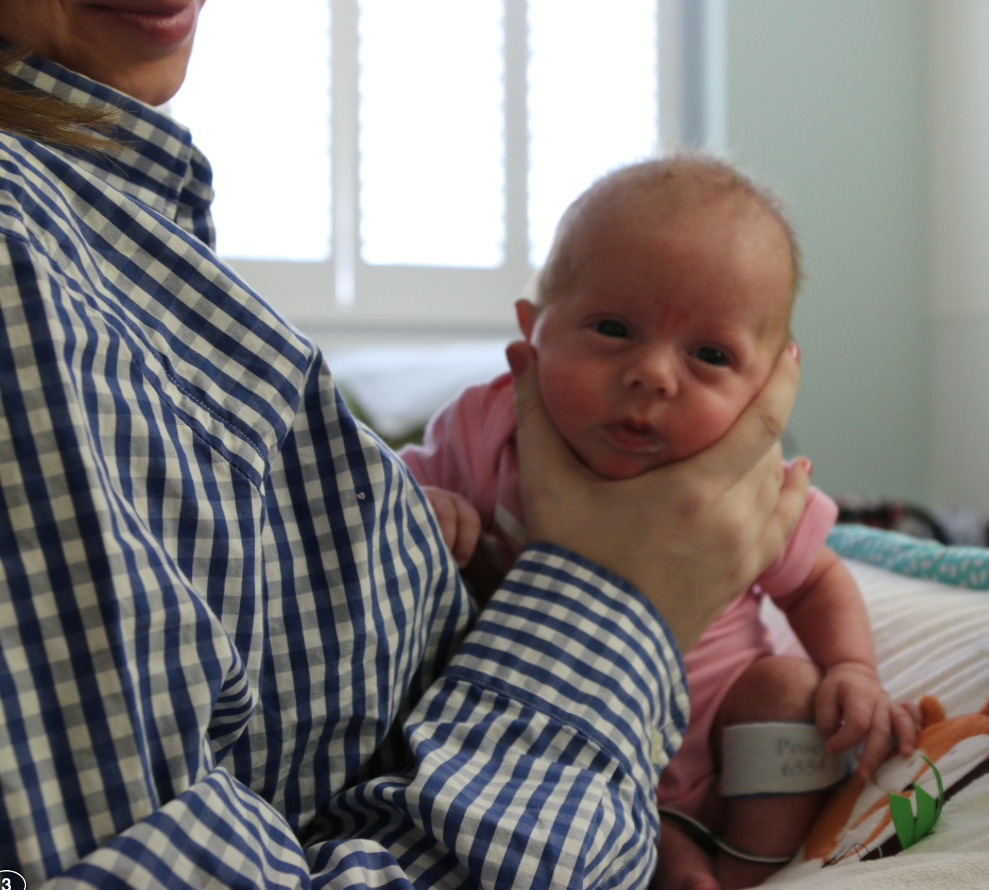 Screen Shot 2017-03-12 at 2.44.37 PM.png