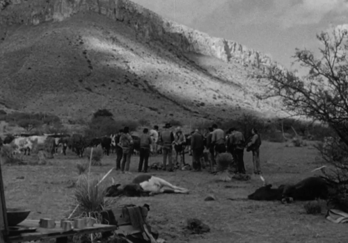 Screen Shot 2017-04-19 at 2.17.19 PM.png