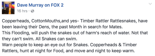 Screen Shot 2017-05-02 at 1.33.47 PM.png