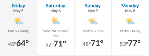 Screen Shot 2017-05-04 at 11.23.37 AM.png