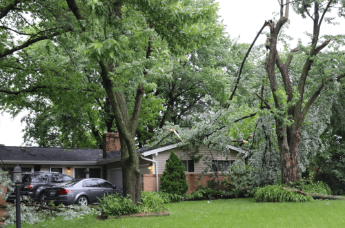 Screen Shot 2017-05-21 at 8.41.04 PM.png