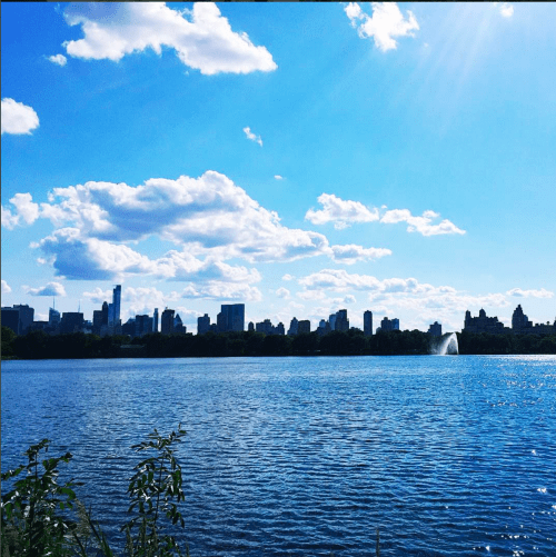 Screen Shot 2017-07-19 at 1.24.07 PM.png