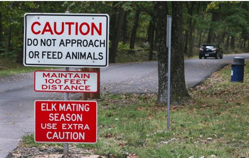 Screen Shot 2017-10-10 at 9.03.17 AM