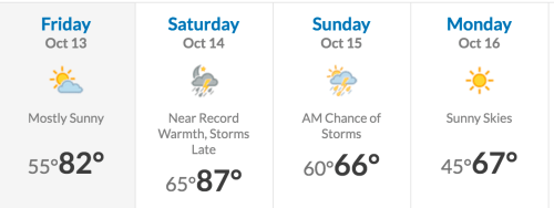 Screen Shot 2017-10-12 at 1.18.05 PM.png