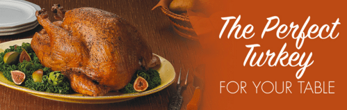 Screen Shot 2017-11-16 at 1.32.45 PM.png