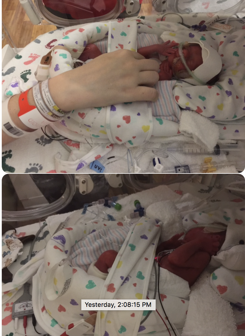 Screen Shot 2016-12-13 at 10.03.15 AM.png