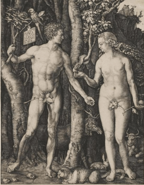 Screen Shot 2017-12-10 at 3.51.05 PM.png