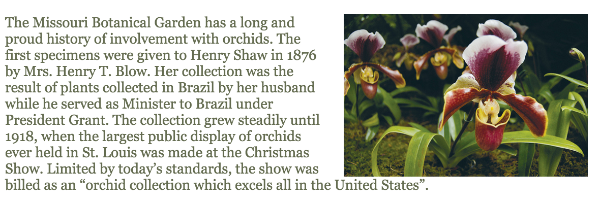 Screen Shot 2018-01-31 at 1.25.20 PM.png