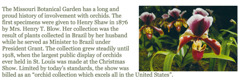 Screen Shot 2018-01-31 at 1.25.20 PM.png