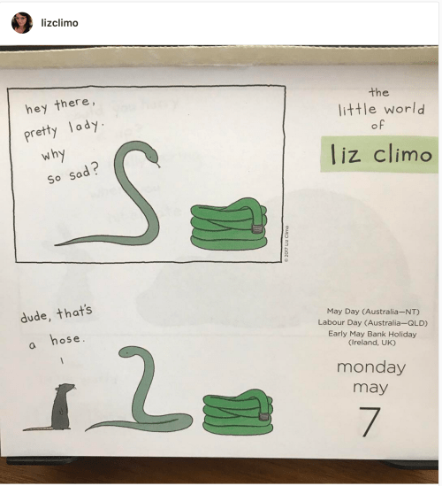 Screen Shot 2018-05-08 at 9.02.01 AM.png