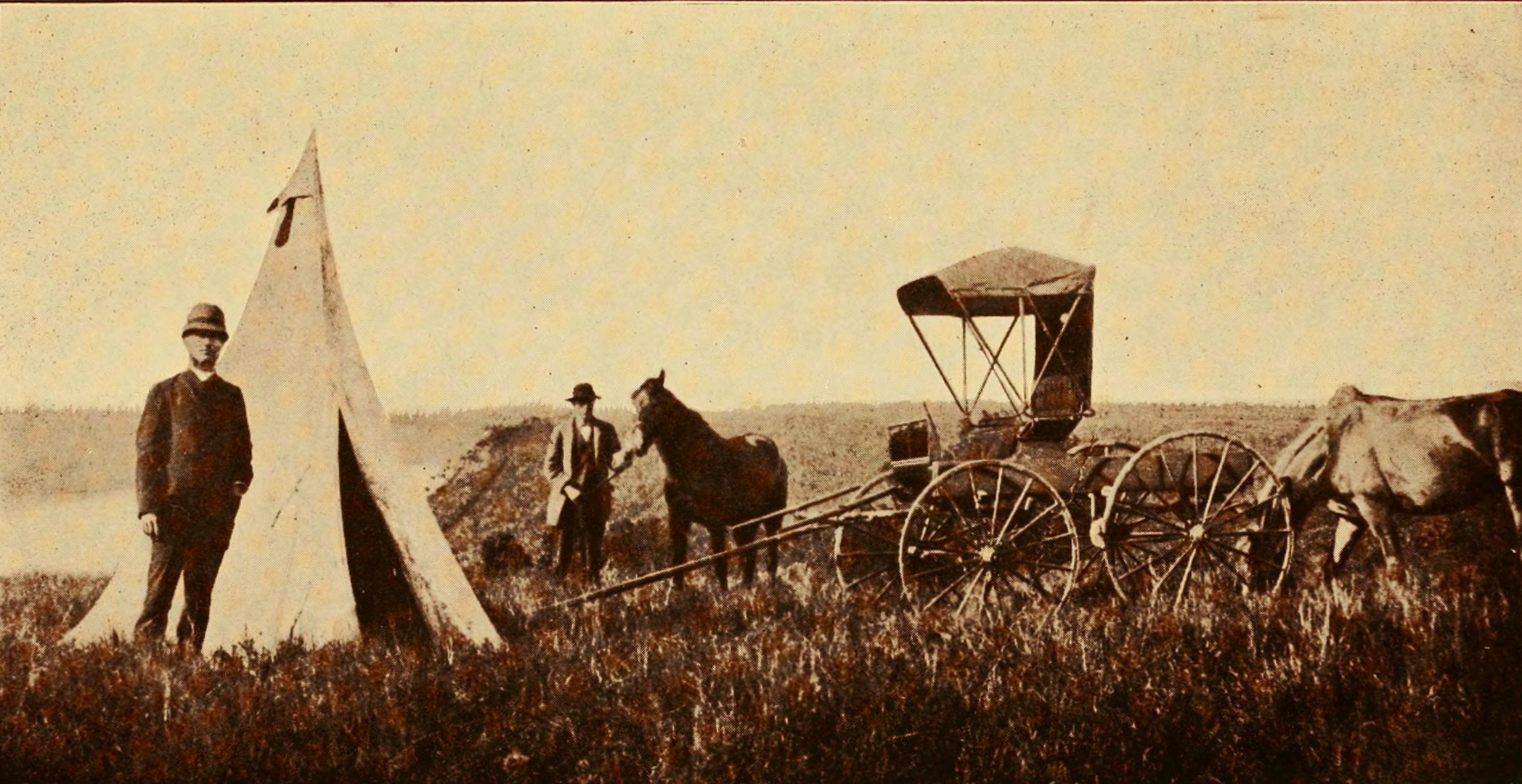 Screen Shot 2018-05-16 at 11.36.09 AM.png