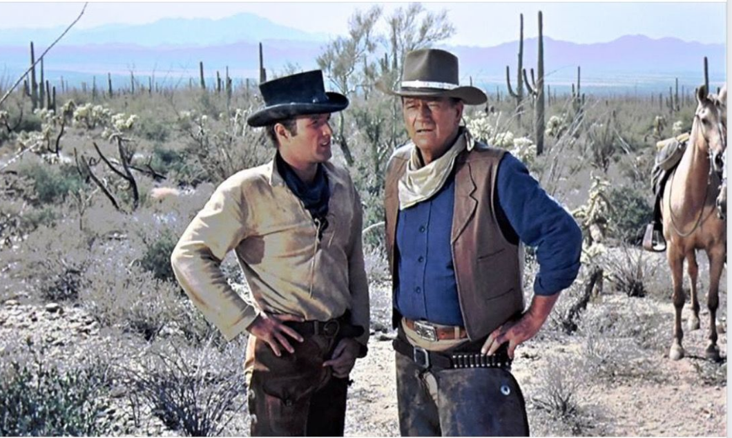 Screen Shot 2018-05-24 at 9.51.52 PM.png