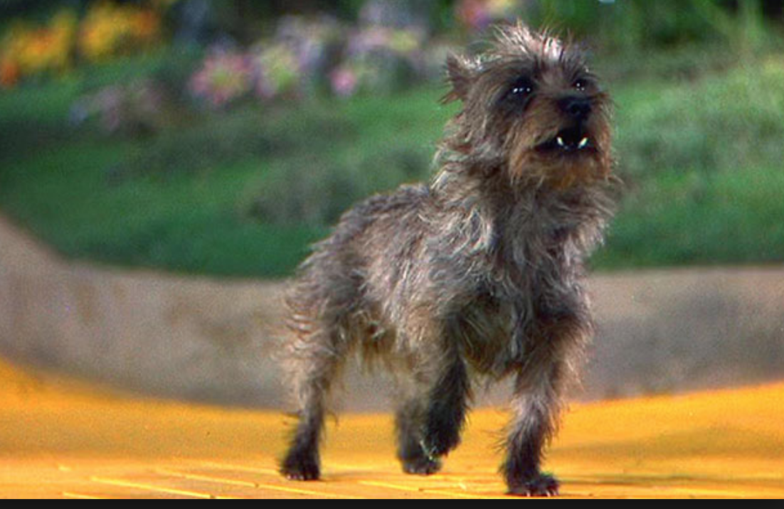 Screen Shot 2018-06-07 at 7.27.21 PM.png