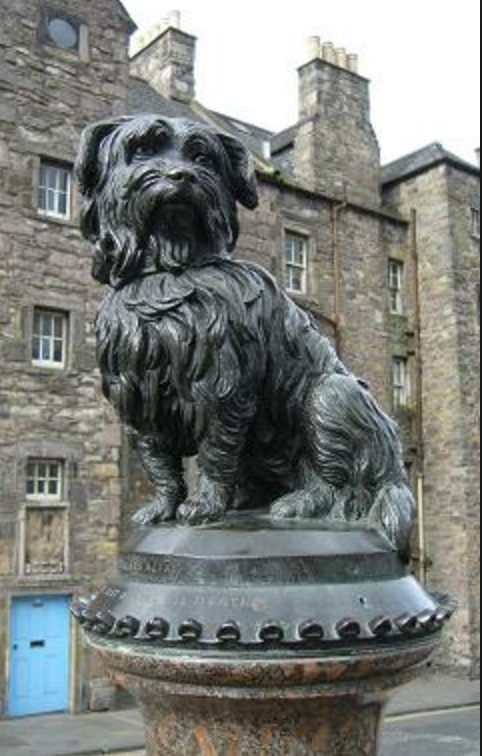 Screen Shot 2018-06-12 at 10.00.12 AM.png