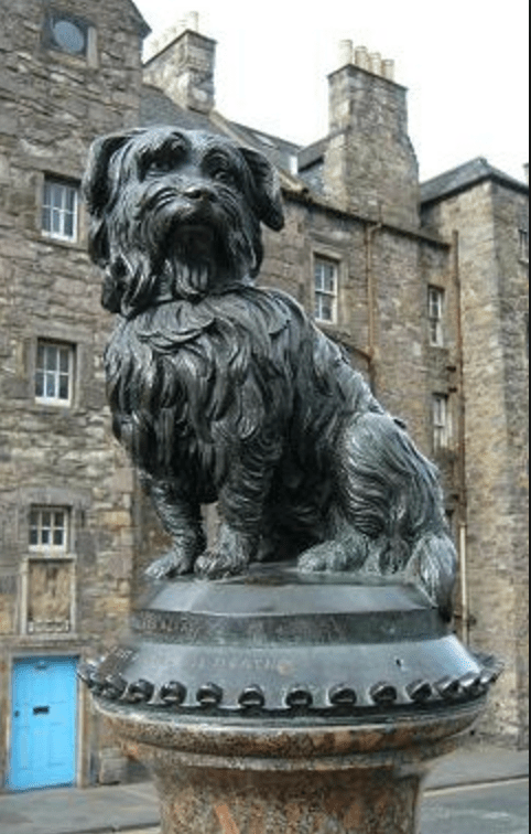 Screen Shot 2018-06-12 at 10.00.12 AM.png