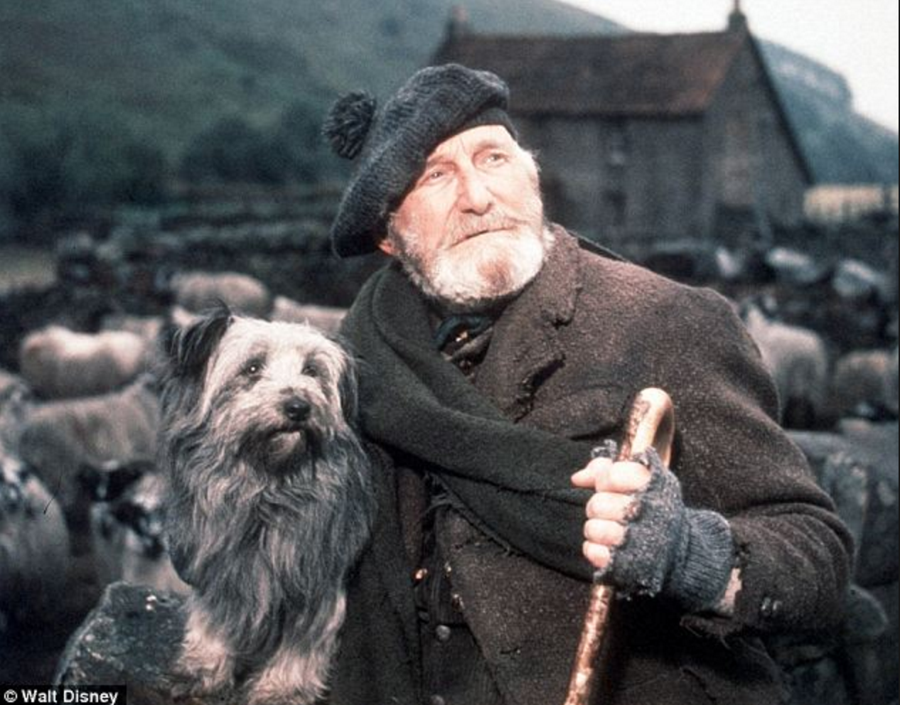 Screen Shot 2018-06-12 at 9.58.28 AM.png