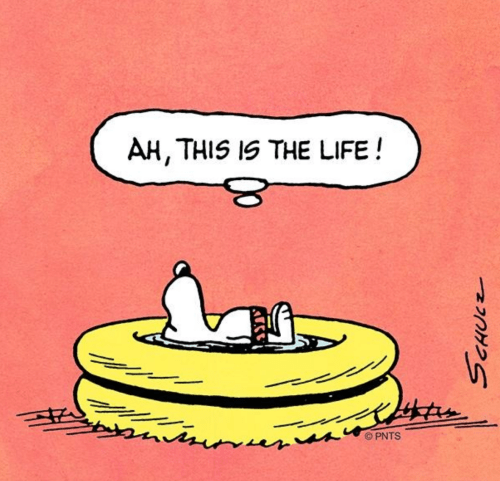 Screen Shot 2018-07-09 at 5.13.47 PM.png