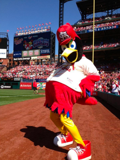 Screen Shot 2018-07-31 at 11.16.23 AM.png