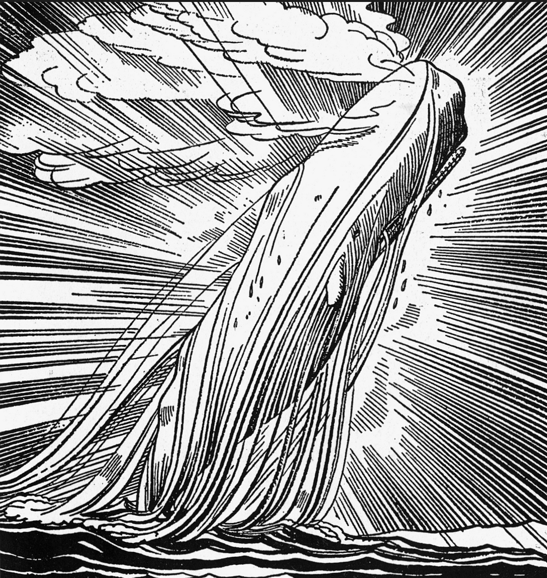 Screen Shot 2018-08-01 at 12.52.41 PM.png