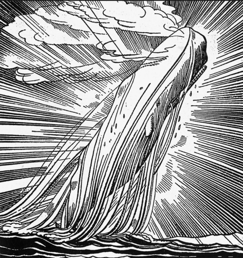 Screen Shot 2018-08-01 at 12.52.41 PM.png