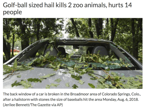 Screen Shot 2018-08-07 at 6.51.44 AM.png