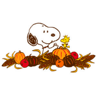 Screen Shot 2018-10-01 at 1.05.35 PM.png