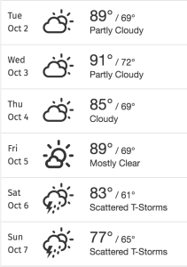 Screen Shot 2018-10-01 at 1.11.38 PM