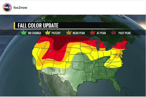 Screen Shot 2018-10-18 at 9.09.18 AM.png