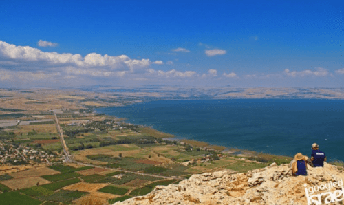 Screen Shot 2018-11-22 at 2.53.42 PM.png