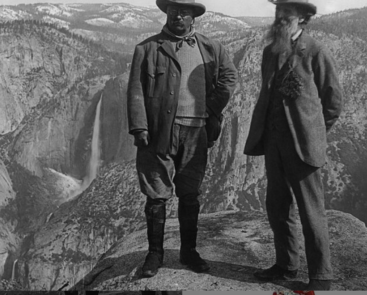 Screen Shot 2019-01-06 at 3.41.49 PM.png