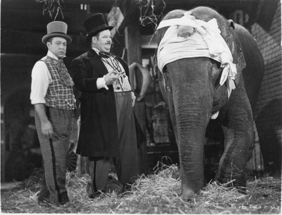 Screen Shot 2019-01-17 at 10.26.56 AM.png