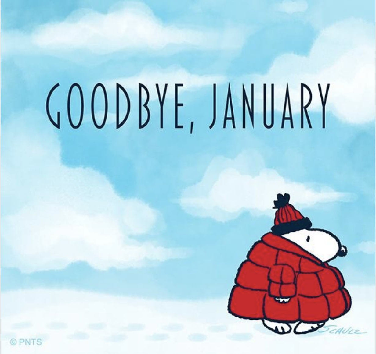 Screen Shot 2019-01-31 at 1.58.28 PM.png