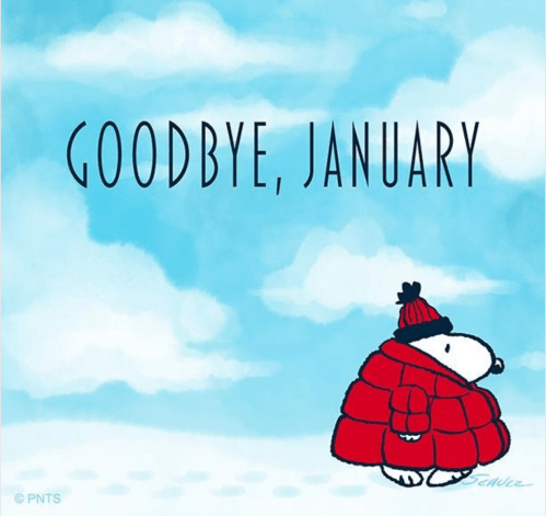 Screen Shot 2019-01-31 at 1.58.28 PM.png