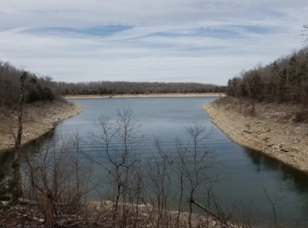 Screen Shot 2019-02-14 at 12.54.51 PM.png