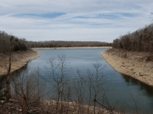 Screen Shot 2019-02-14 at 12.54.51 PM.png