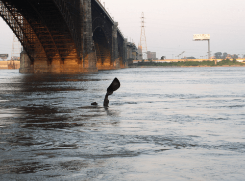 Screen Shot 2019-02-24 at 12.36.00 PM.png