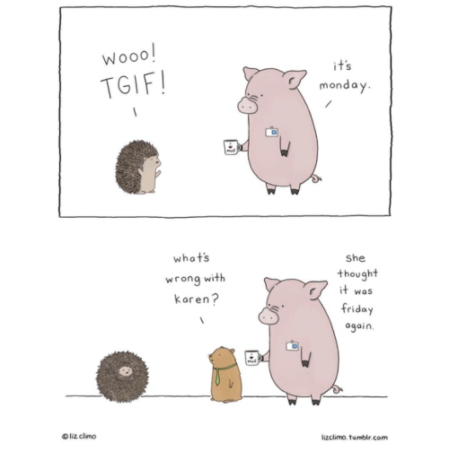 Screen Shot 2019-02-25 at 11.14.24 AM.png