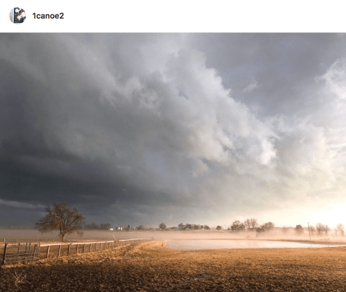 Screen Shot 2019-03-11 at 9.15.32 AM.png