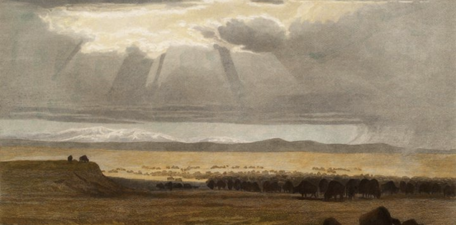 Screen Shot 2019-04-17 at 1.11.07 PM.png